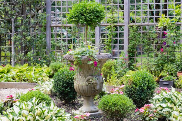 Cost of Topiary Pruning in Puyallup