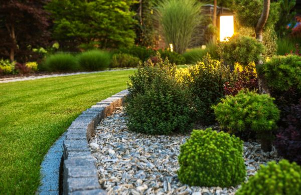 Cost of Bush Relocation in Puyallup