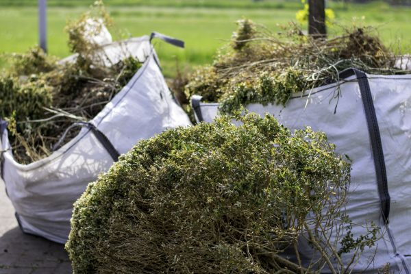 Shrubs Removal in Puyallup