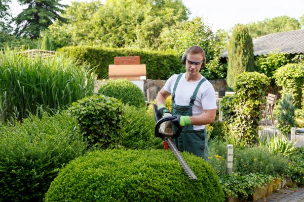 Shrubs Trimming in Puyallup